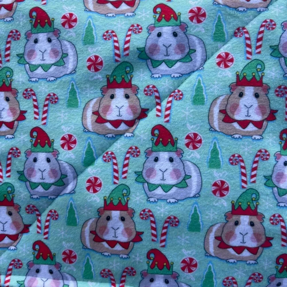 CANDY CANE Piddle Pads 11